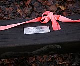 Astley Park Benches