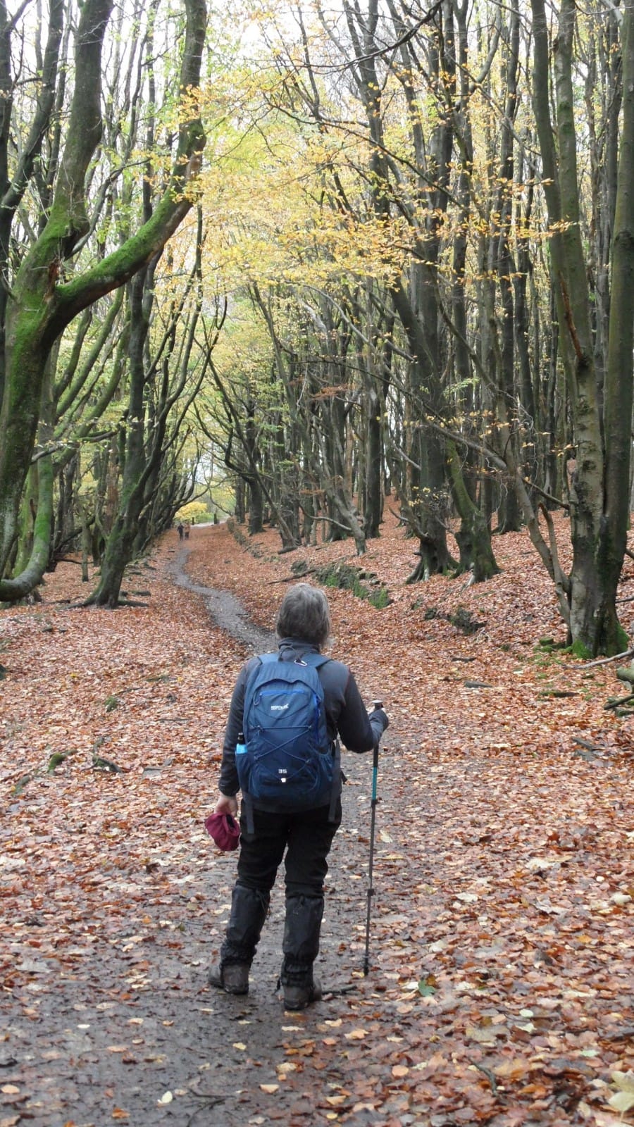 regular walks